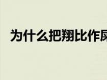 为什么把翔比作屎（为什么翔是屎的意思）