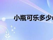 小瓶可乐多少ml（大瓶可乐多少升）