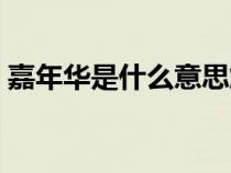 嘉年华是什么意思解释（嘉年华是什么意思）