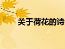 关于荷花的诗句（关于莲花的诗句）