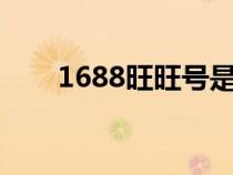 1688旺旺号是什么（旺旺号是什么）