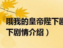 哦我的皇帝陛下剧情介绍讲解（哦我的皇帝陛下剧情介绍）