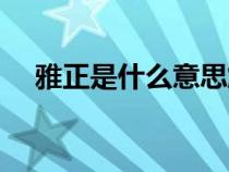 雅正是什么意思解释（雅正是什么意思）