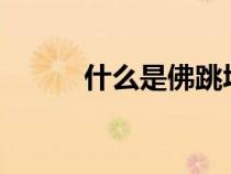 什么是佛跳墙?（什么是佛跳墙）