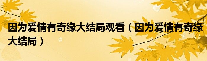 因为爱情有奇缘大结局观看（因为爱情有奇缘大结局）