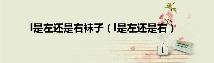 l是左还是右袜子（l是左还是右）
