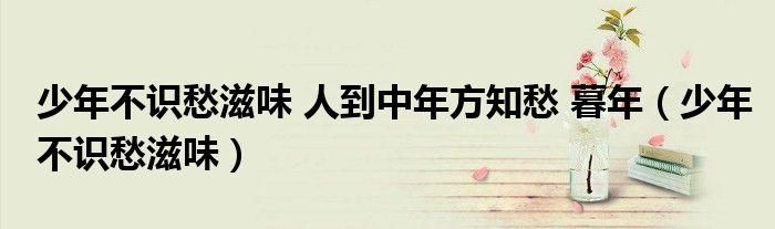 少年不识愁滋味 人到中年方知愁 暮年（少年不识愁滋味）