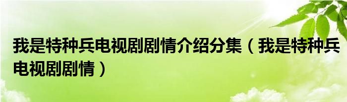 我是特种兵电视剧剧情介绍分集（我是特种兵电视剧剧情）