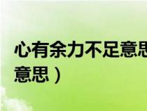 心有余力不足意思相近的成语（心有余力不足意思）