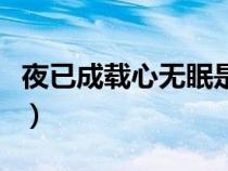 夜已成载心无眠是什么意思（无眠是什么意思）