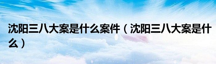 沈阳三八大案是什么案件（沈阳三八大案是什么）