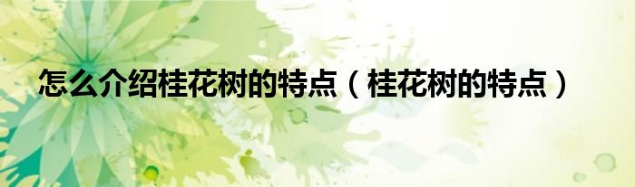 怎么介绍桂花树的特点（桂花树的特点）