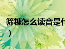 筛糠怎么读音是什么意思（筛糠的意思是什么）