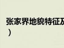 张家界地貌特征及成因分析（张家界地貌特点）