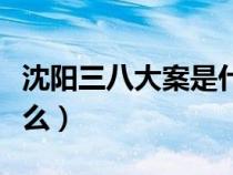 沈阳三八大案是什么案件（沈阳三八大案是什么）