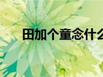 田加个童念什么字（田加童是什么字）
