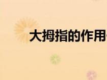大拇指的作用仿写（大拇指的作用）