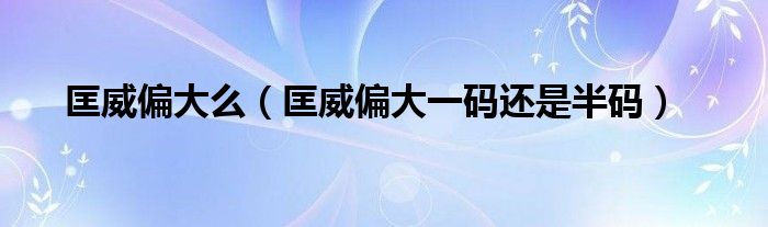 匡威偏大么（匡威偏大一码还是半码）