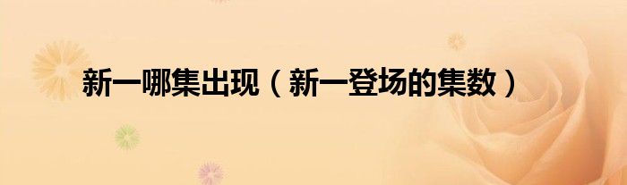 新一哪集出现（新一登场的集数）