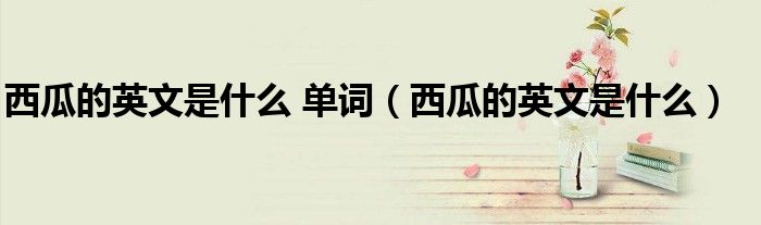 西瓜的英文是什么 单词（西瓜的英文是什么）