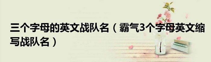 三个字母的英文战队名（霸气3个字母英文缩写战队名）