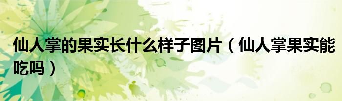 仙人掌的果实长什么样子图片（仙人掌果实能吃吗）