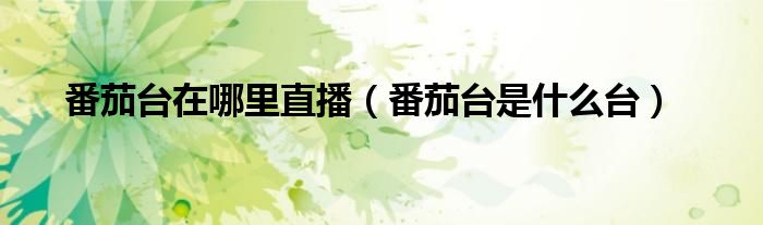 番茄台在哪里直播（番茄台是什么台）