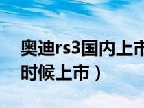 奥迪rs3国内上市时间（奥迪RSQ3将于什么时候上市）