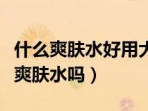什么爽肤水好用大家推荐一下（纯露可以代替爽肤水吗）