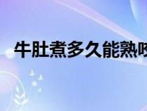 牛肚煮多久能熟咬得动（牛肚煮多久能熟）