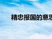 精忠报国的意思是（精忠报国的意思）