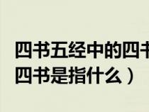 四书五经中的四书是指什么书（四书五经中的四书是指什么）