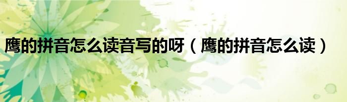 鹰的拼音怎么读音写的呀（鹰的拼音怎么读）