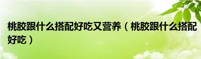 桃胶跟什么搭配好吃又营养（桃胶跟什么搭配好吃）