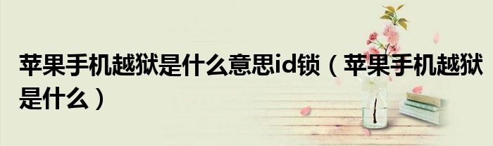 苹果手机越狱是什么意思id锁（苹果手机越狱是什么）