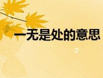 一无是处的意思 星球（一无是处的意思）
