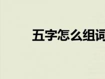 五字怎么组词?（汉字五怎么组词）