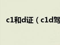 c1和d证（c1d驾照与C1驾照有什么区别）