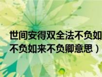 世间安得双全法不负如来不负卿意思全诗（世间安得双全法不负如来不负卿意思）