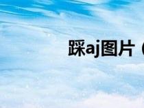 踩aj图片（踩aj是什么意思）