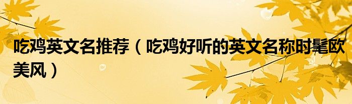 吃鸡英文名推荐（吃鸡好听的英文名称时髦欧美风）