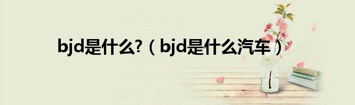bjd是什么?（bjd是什么汽车）