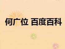 何广位 百度百科（何广位的事迹是真的吗）