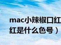 mac小辣椒口红是什么颜色（mac小辣椒口红是什么色号）