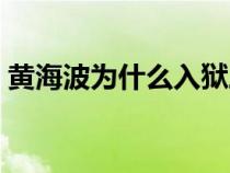 黄海波为什么入狱三年（黄海波为什么坐牢）