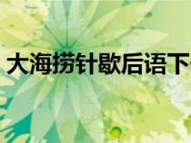 大海捞针歇后语下一句话（大海捞针歇后语）