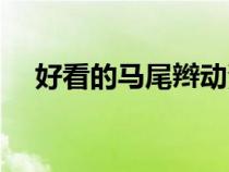 好看的马尾辫动漫头像（好看的马尾辫）