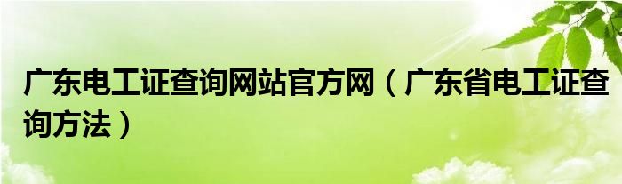广东电工证查询网站官方网（广东省电工证查询方法）
