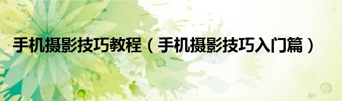 手机摄影技巧教程（手机摄影技巧入门篇）