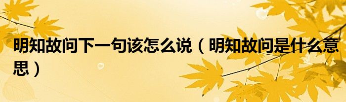 明知故问下一句该怎么说（明知故问是什么意思）
